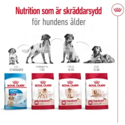 Medium Ageing 10+ Ageing Tørrfôr for hunder 15 kg