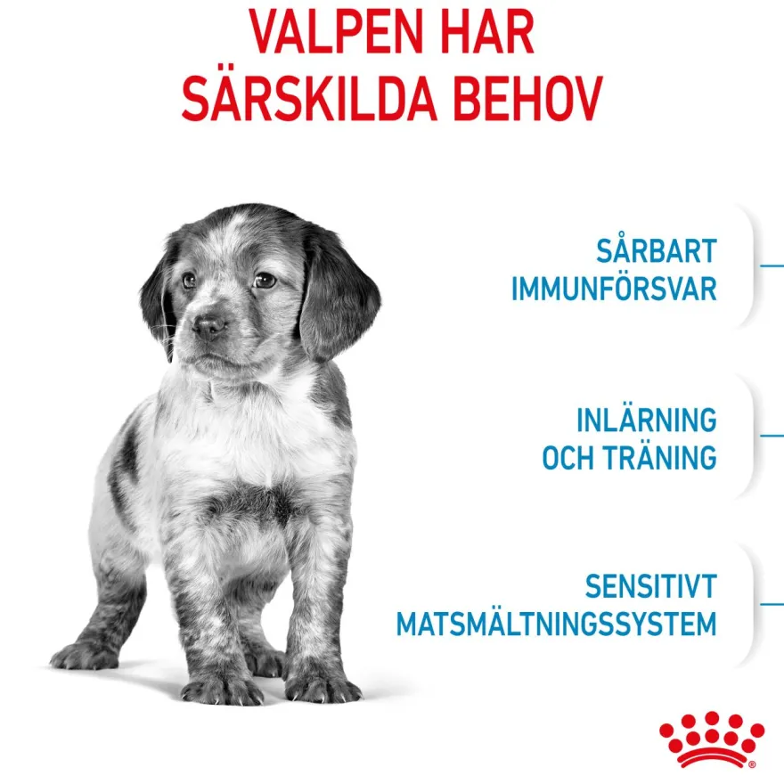 Medium Puppy tørrfôr for valper 10 kg