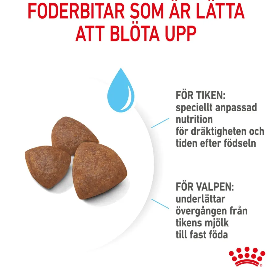 Medium Starter tørrfôr for valper 4 kg