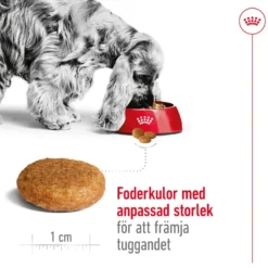 Medium Voksen 15 kg + 3 kg