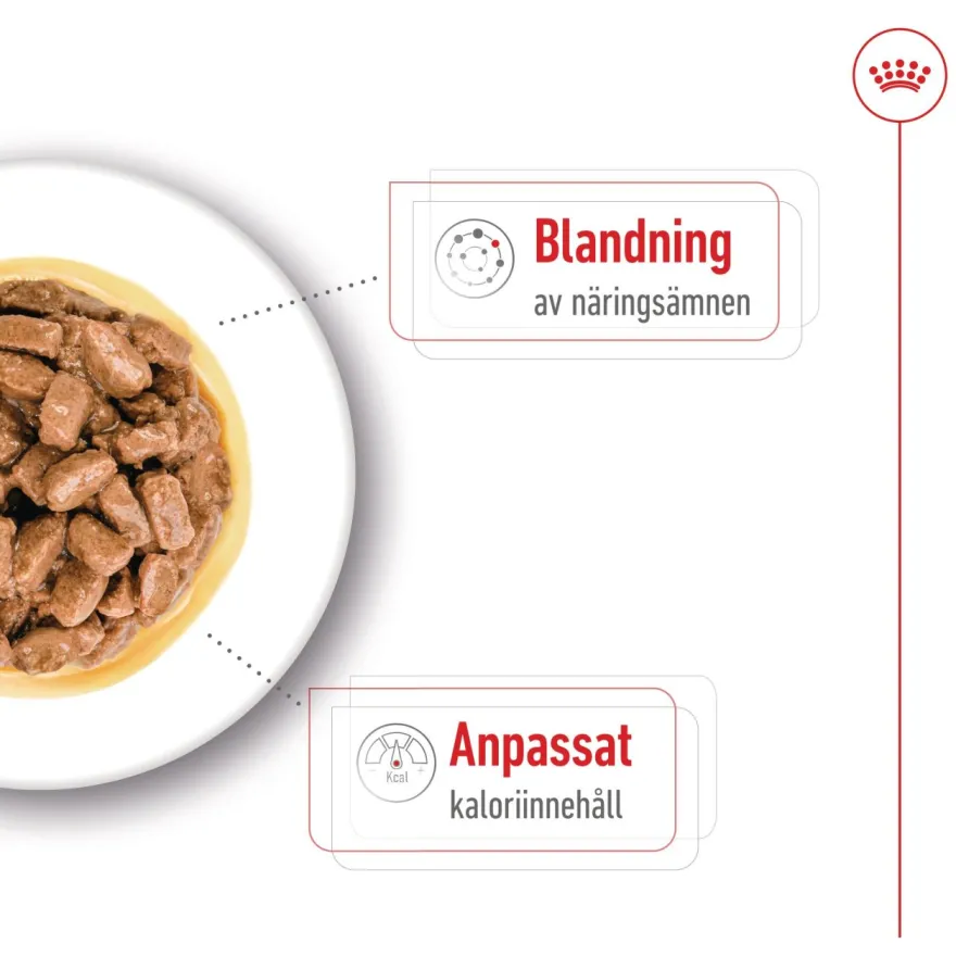 Mini Ageing Våtfôr for hunder 85 g x 12 stk