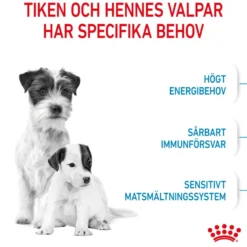 Mini Starter Mother & Babydog tørrfôr til hund 4 kg