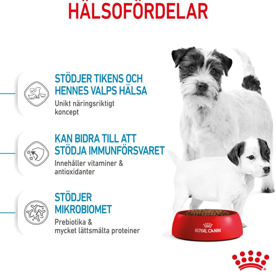 Mini Starter Mother & Babydog tørrfôr til hund 4 kg