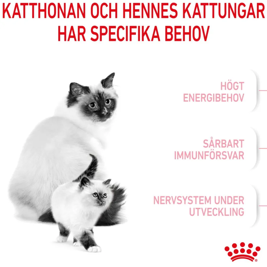 Mother & Babycat tørrfôr til katter og kattunger 400g