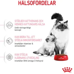 Mother & Babycat tørrfôr til katter og kattunger 400g