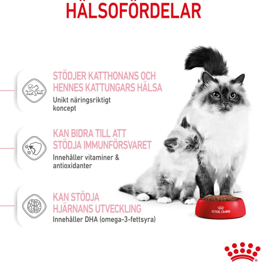 Mother & Babycat tørrfôr til katter og kattunger 400g