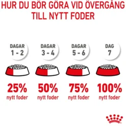 Mother & Babycat tørrfôr til katter og kattunger 10 kg