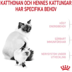 Mother & Babycat tørrfôr til katter og kattunger 10 kg