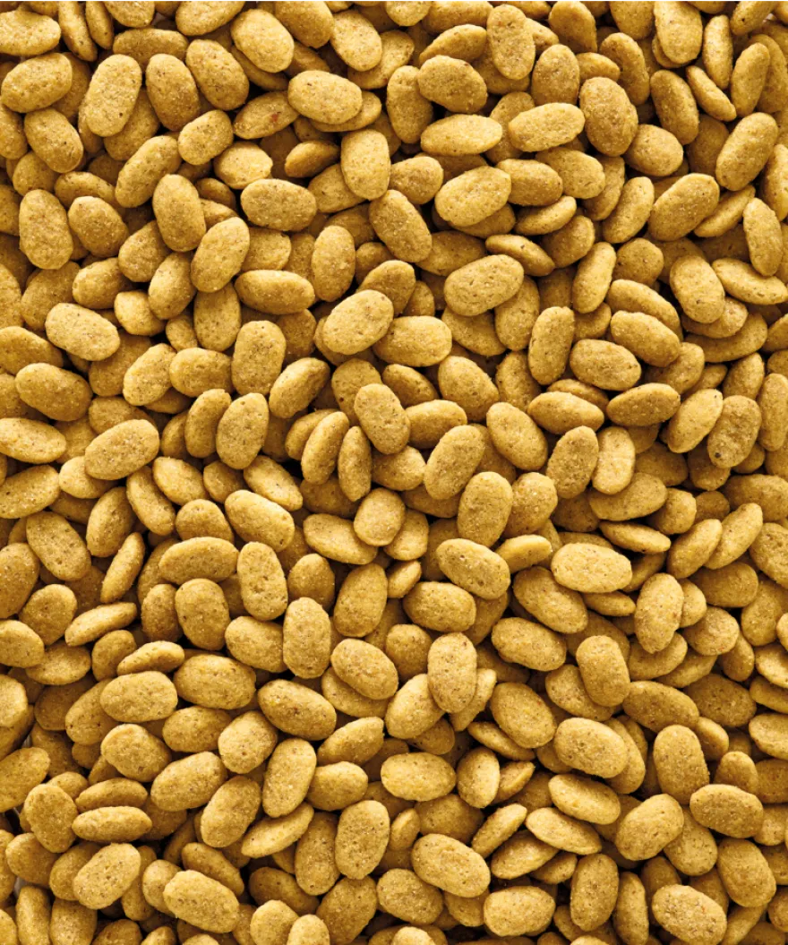 Nutribird P15 Original (papegøye) 1 kg
