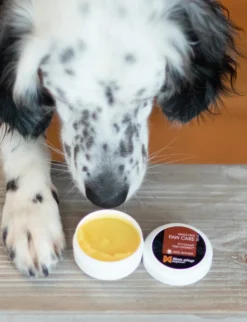 Paw care 50 ml