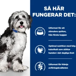 PD Canine ON-Care Kylling & Grønnsaksgryte 354 g