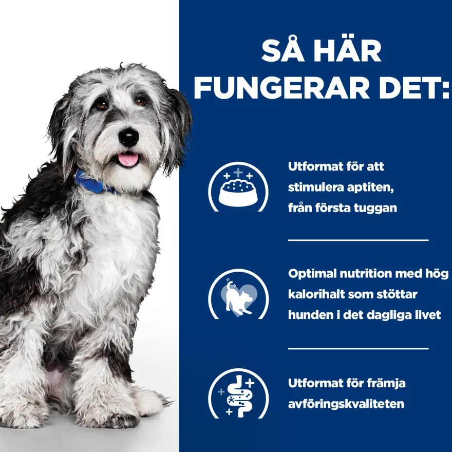 PD Canine ON-Care Kylling & Grønnsaksgryte 354 g