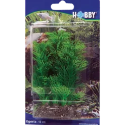 Plastplante Egeria 13 cm