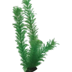 Plastplante Egeria 13 cm