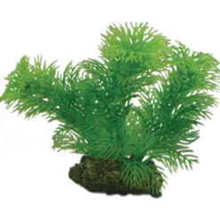 Plastplante Egeria 13 cm