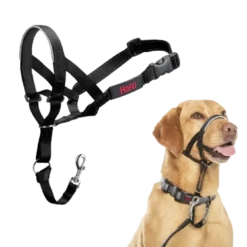 Pointer nr. 3 Hals: 40-54 cm