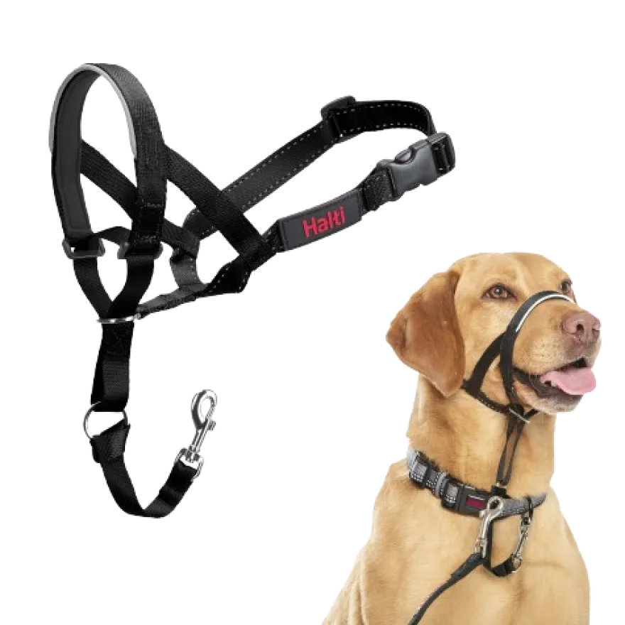 Pointer nr. 3 Hals: 40-54 cm