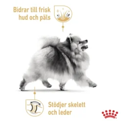 Pomeranian Adult tørrfôr for hunder 1,5kg