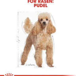Poodle Adult tørrfôr for hunder 1,5 kg