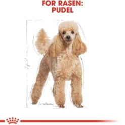Poodle Adult tørrfôr for hunder 7,5 kg