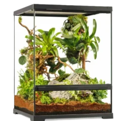 Pro Terrarium Small Tall - 45 x 45 x 60 cm