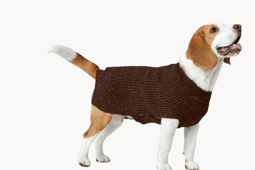 Pullover Finja - Reflekterende Hundegenser Mørkeblå 35 cm