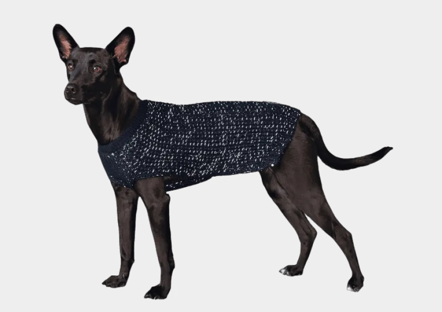Pullover Finja - Reflekterende Hundegenser Mørkeblå 35 cm