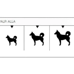 Puppy All Breed kylling og potet 10 kg