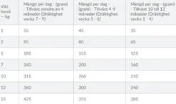Puppy Digestion Small & Mini Chicken & Rice 6 kg