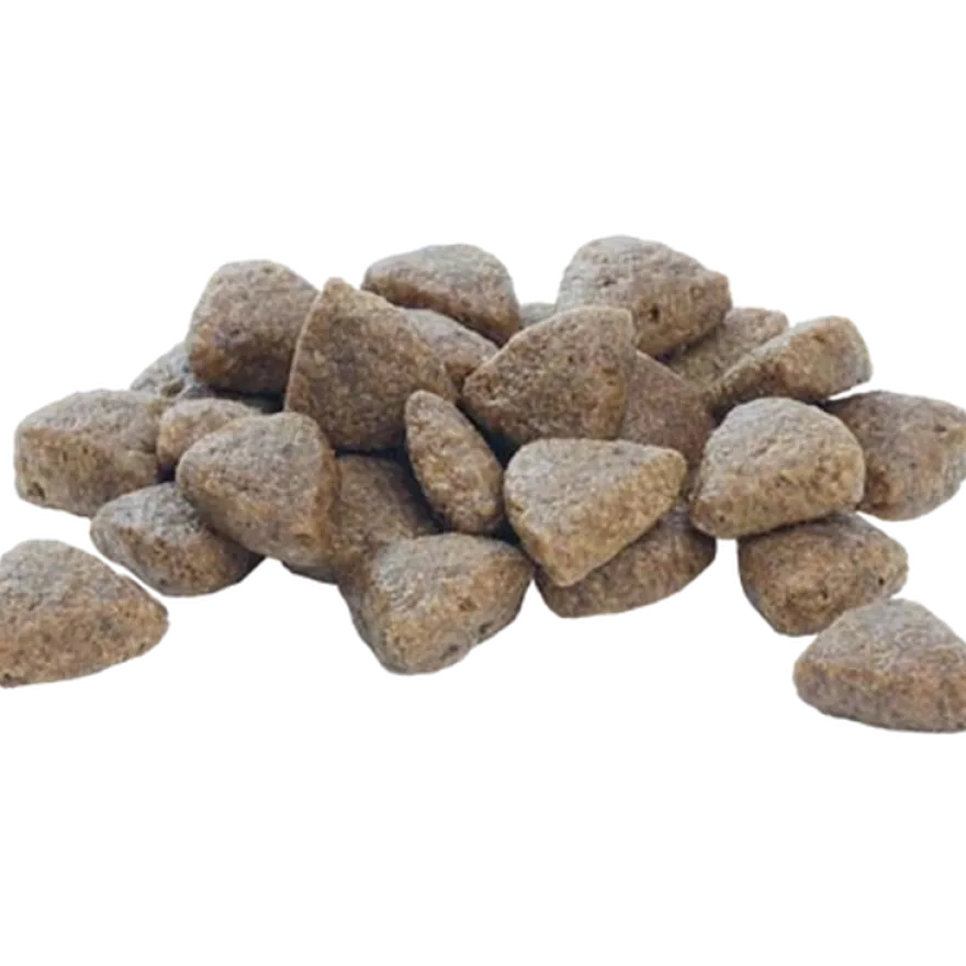 Puppy Healthy Start Large Athletic tørrfôr til valper 12 kg