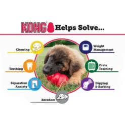 Puppy Rubber Puppy Dog Toy