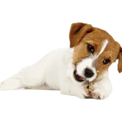 Puppy Value Bag Mix 14 stk M/L