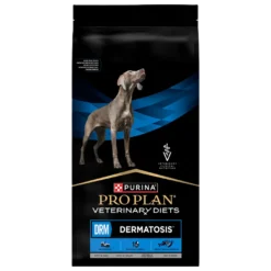 PVD DRM Dermatose hos hund 12 kg