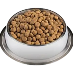 PVD DRM Dermatose hos hund 12 kg