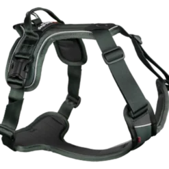 Ramble Harness Green XS