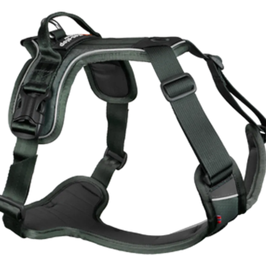 Ramble Harness Green XS