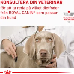 Renal Våtfôr for hunder 410 g