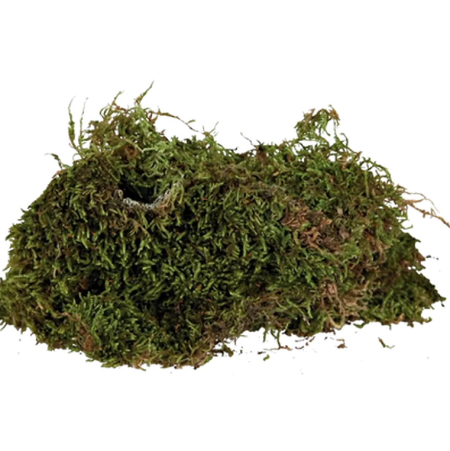 Reptiland terrariummose brun 200 g