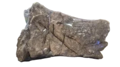 Rohan Stone 20~30Cm