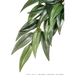Rucus (Silk) - Hanging Rainforest/Jungle Plants
