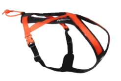 Rush harness Nr 7 black/orange
