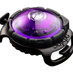Safety Light Dog Dual LED - With Quick Mount & Adjustable Strap Purple 5 km