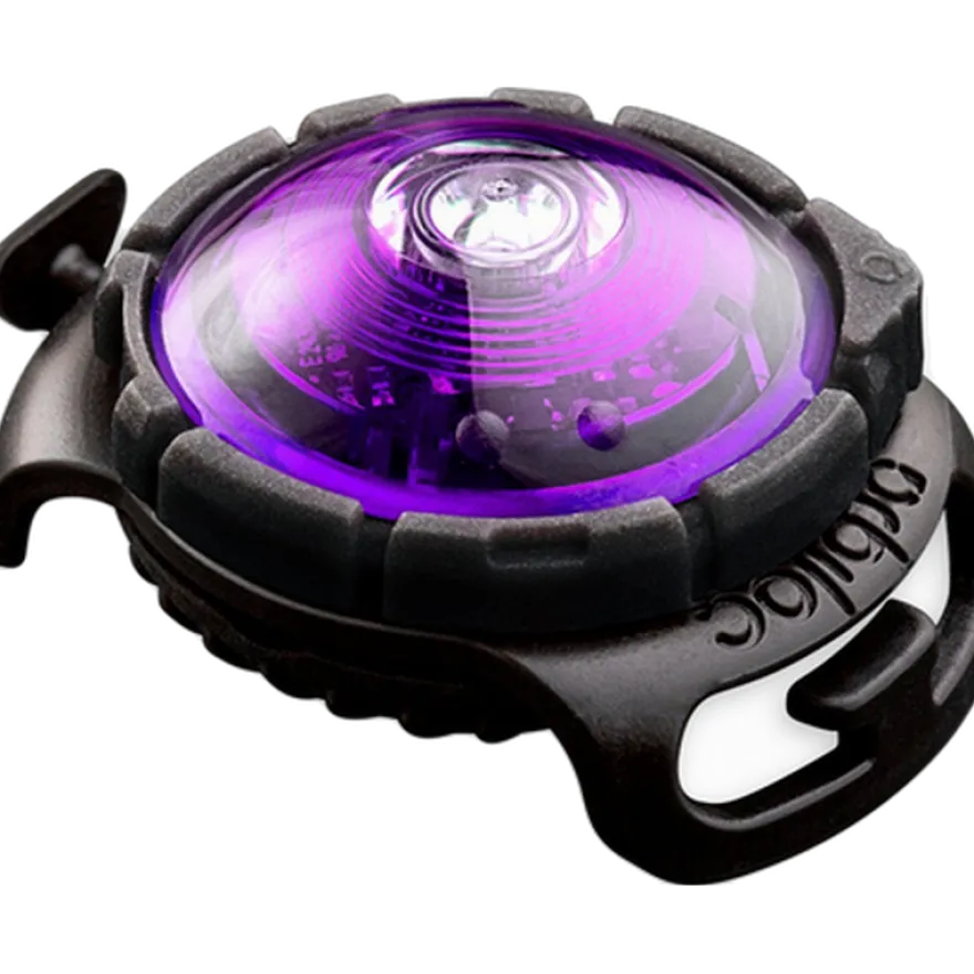 Safety Light Dog Dual LED - With Quick Mount & Adjustable Strap Purple 5 km