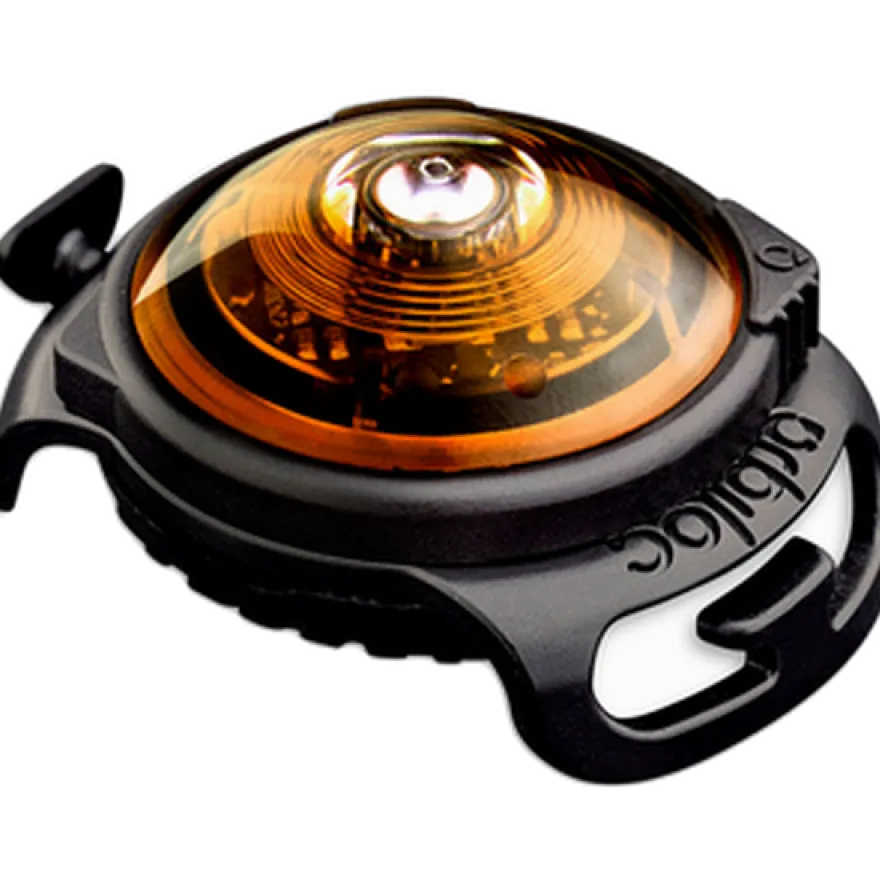 Safety Light Dog Dual LED - With Quick Mount & Adjustable Strap Amber 5 km