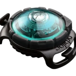Safety Light Dog Dual LED - With Quick Mount & Adjustable Strap Turquoise 5 km