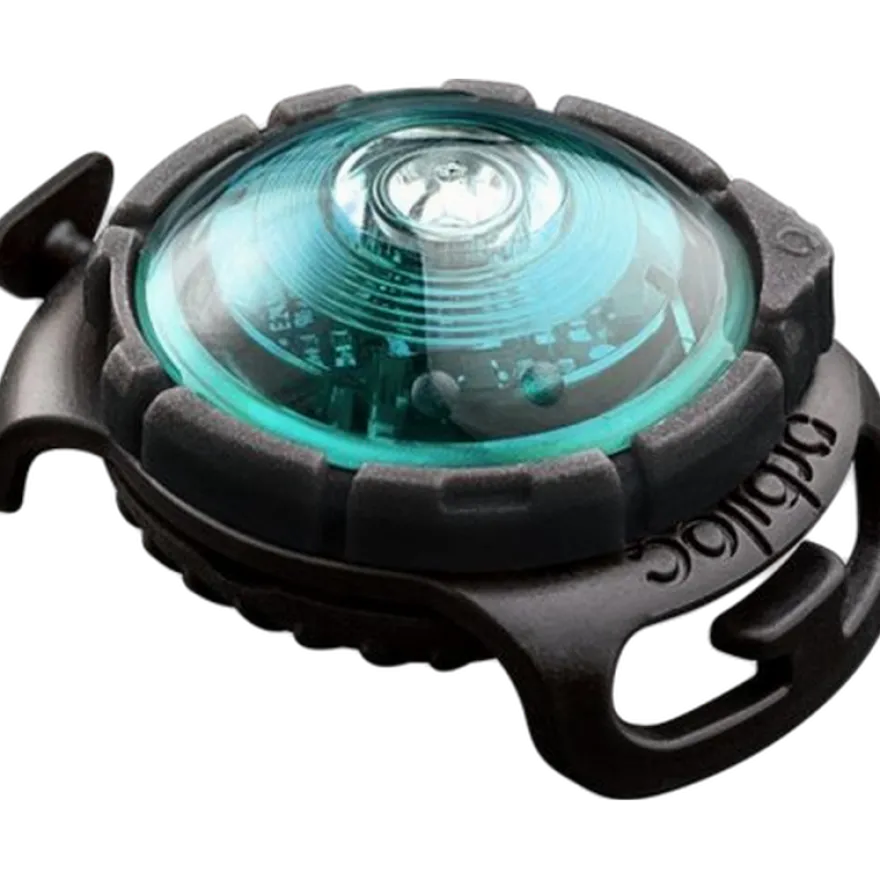 Safety Light Dog Dual LED - With Quick Mount & Adjustable Strap Turquoise 5 km