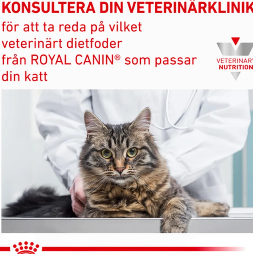 Satiety Weight Management Satiety 3,5 kg for katter