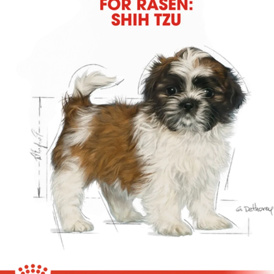 Shih Tzu Puppy tørrfôr for valper 1,5 kg