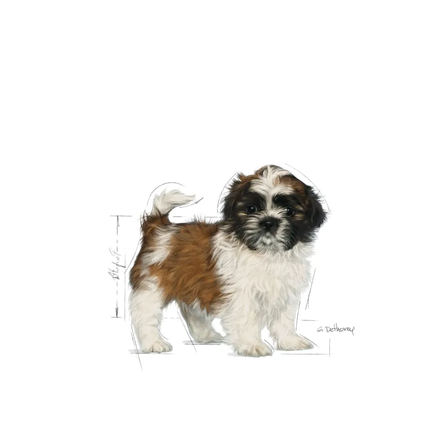 Shih Tzu Puppy tørrfôr for valper 1,5 kg