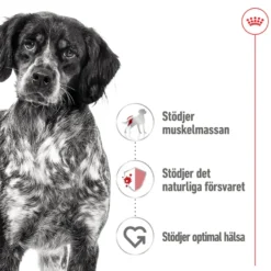SHN Medium Adult våtfôr for hunder 140 g x 10 stk